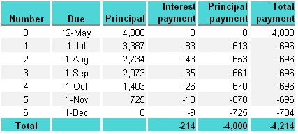 Payment Schedule Amortizing Loan
