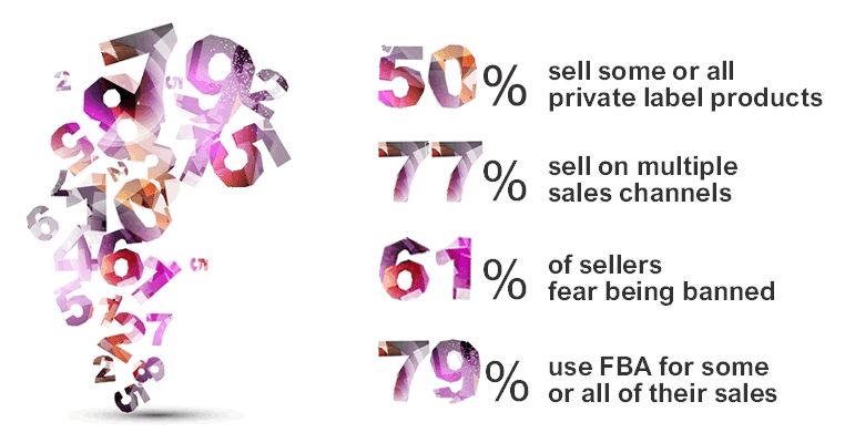 Amazon Sellers Survey 2016