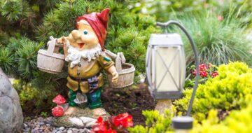 Gnome in a garden