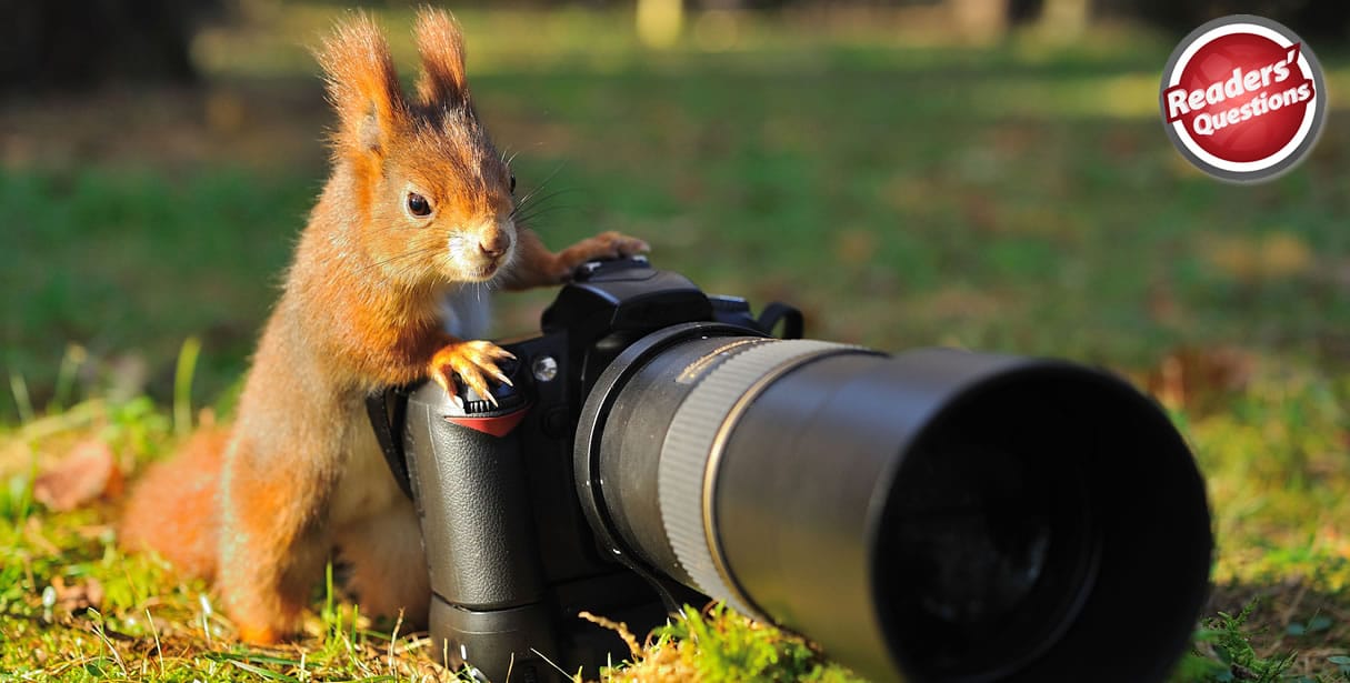 Squirrel with camera