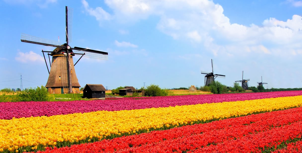 Windmill in the Netherlands