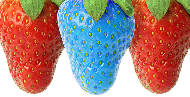 How to Differentiate Your Ecommerce Business From Your Competitors