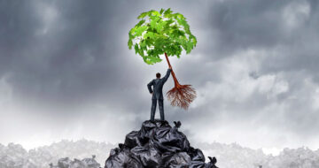 Man found tree growing in dump