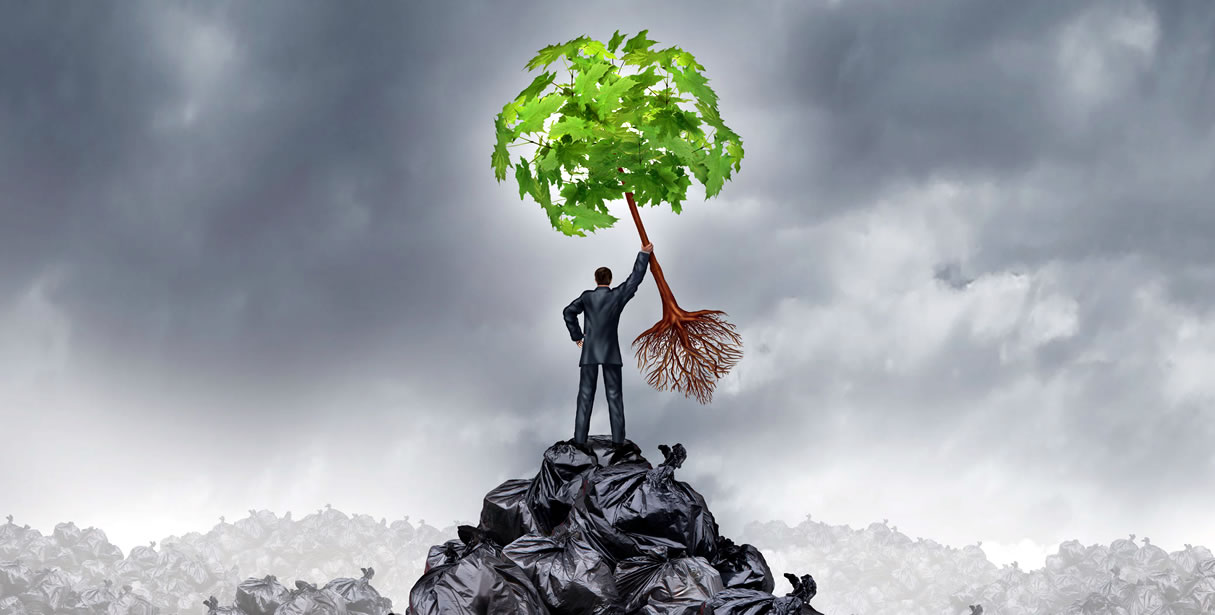 Man found tree growing in dump