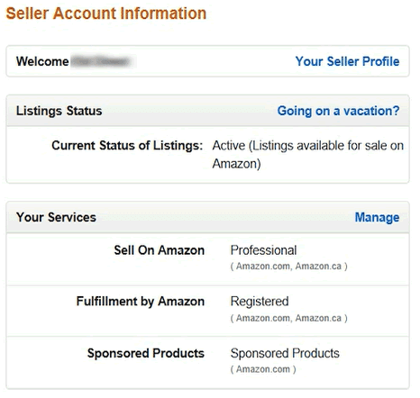 Amazon Seller Account Information
