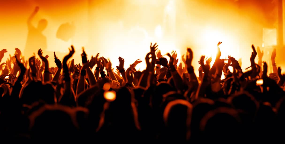 Fans at a concert
