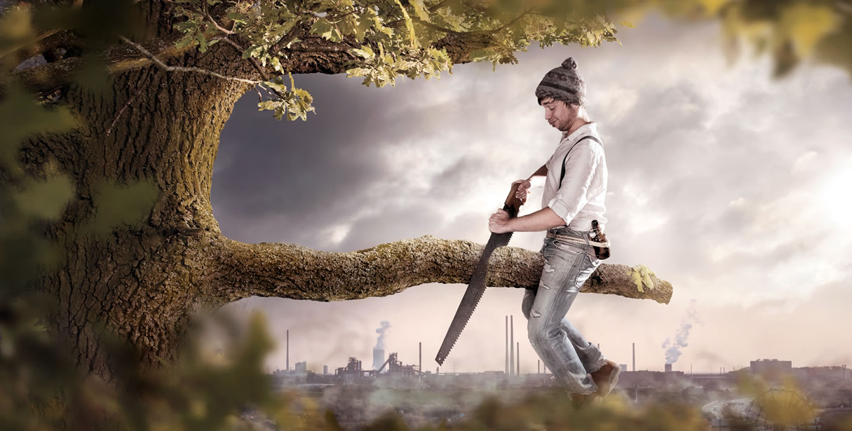 Man sawing through branch he is sitting on