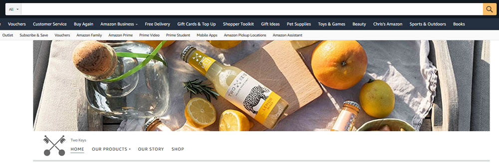 Amazon Brand Store example