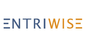 Entriwise logo